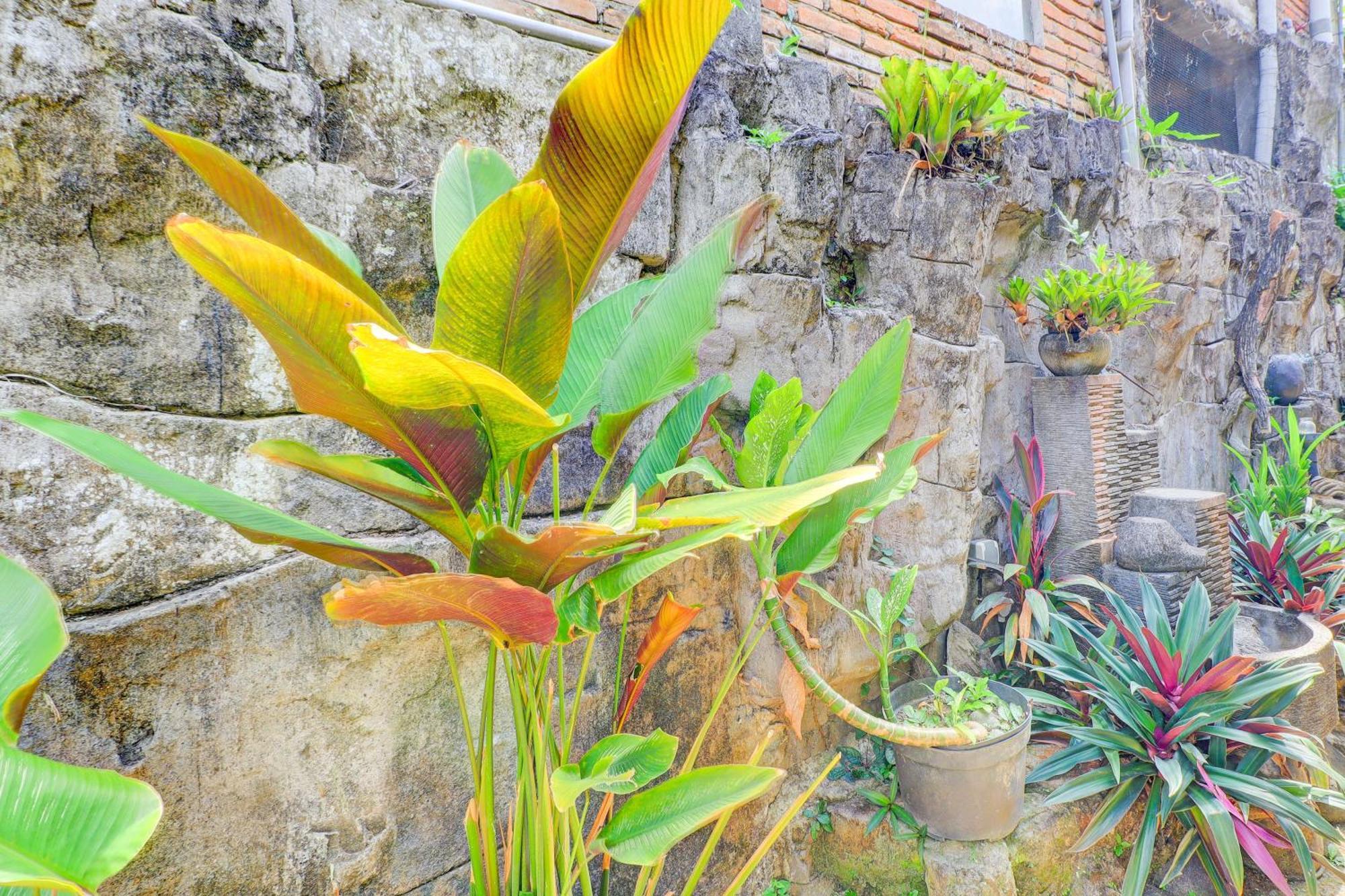 Hotel O Ubud Asri Homestay Near Monkey Forest Exterior foto